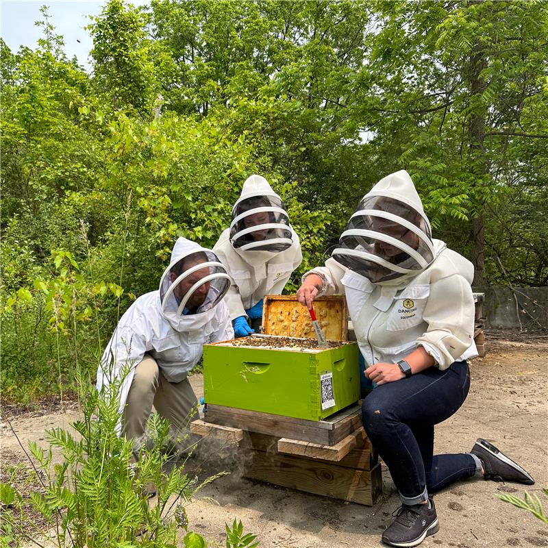 Apiary Research